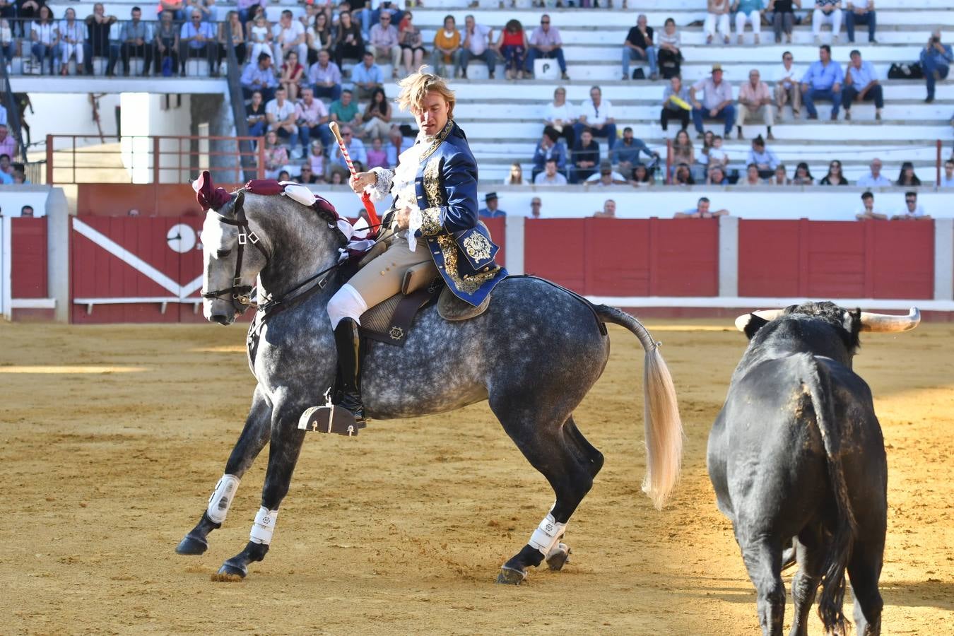 El último festejo de la feria de Pozoblanco, en imágenes