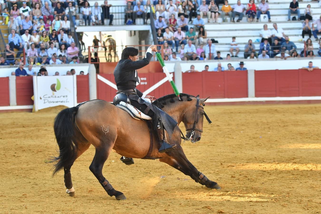 El último festejo de la feria de Pozoblanco, en imágenes