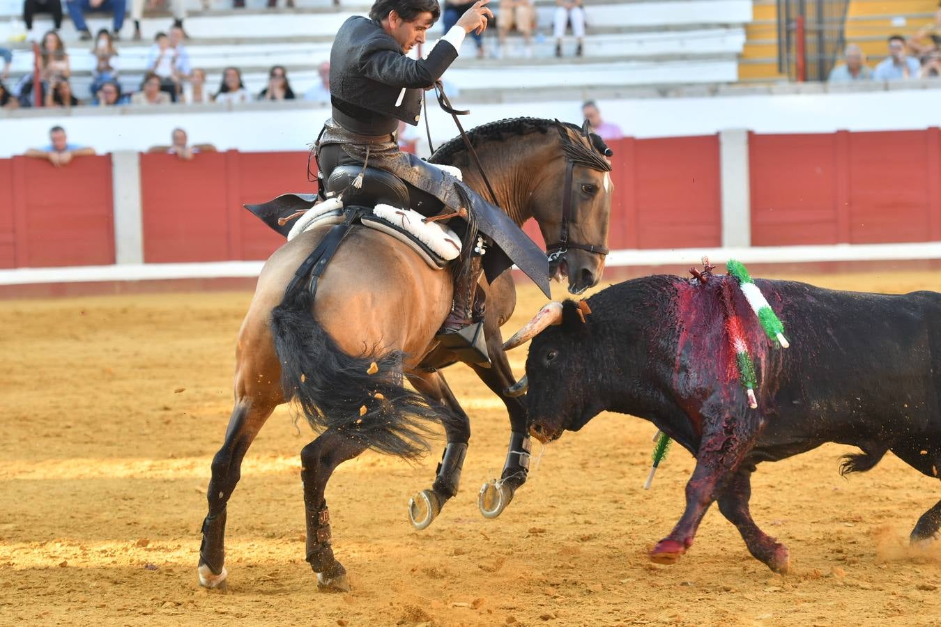 El último festejo de la feria de Pozoblanco, en imágenes