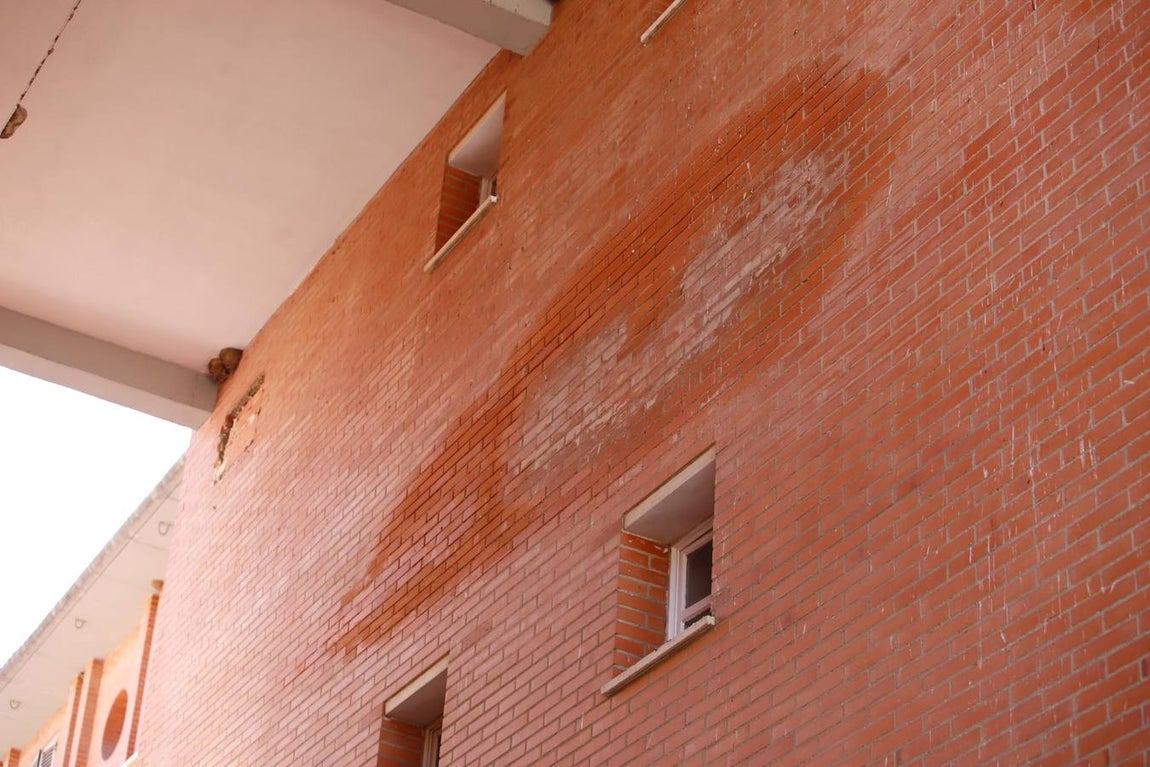 En imágenes, la suciedad que habita en algunas zonas de Las Moreras