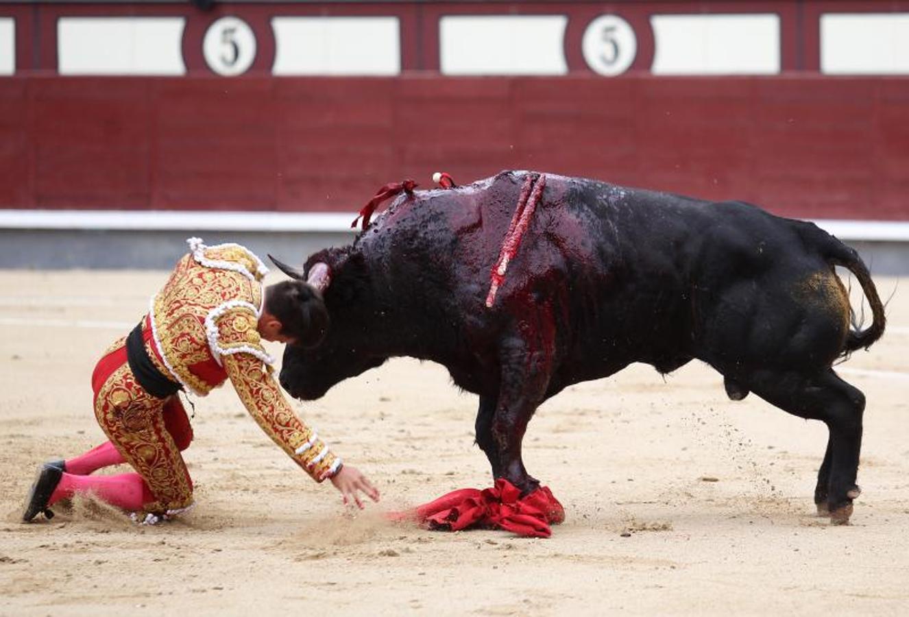 En imágenes: así ha sido la grave cornada de Gonzalo Caballero en Las Ventas