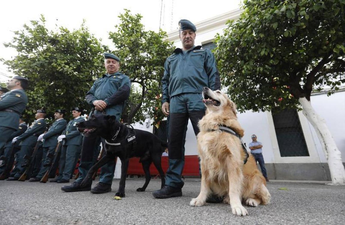 El Día del Pilar en la Guardia Civil de Córdoba, en imágenes