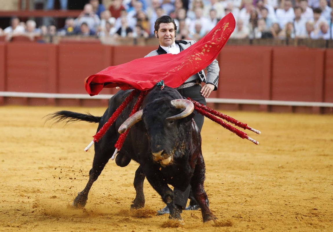 Morante de la Puebla