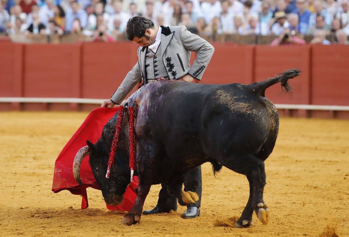 Morante de la Puebla