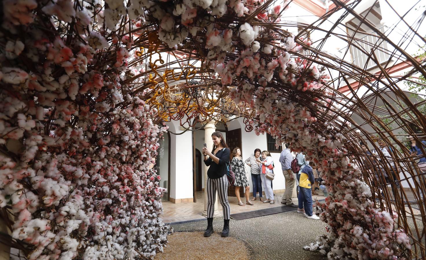 Las instalaciones del Festival Flora  2019, en imágenes