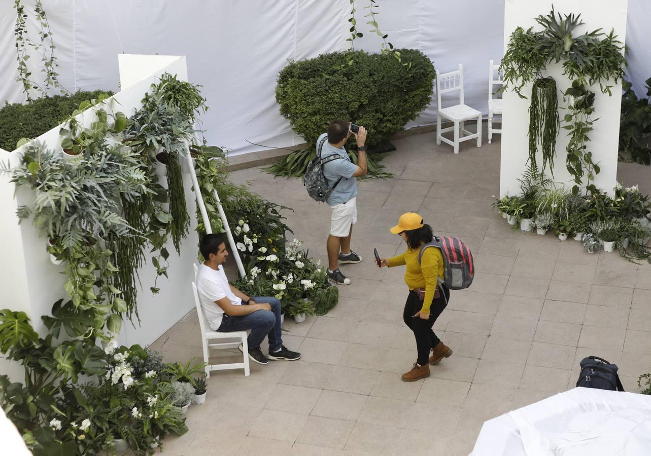 Las instalaciones del Festival Flora  2019, en imágenes