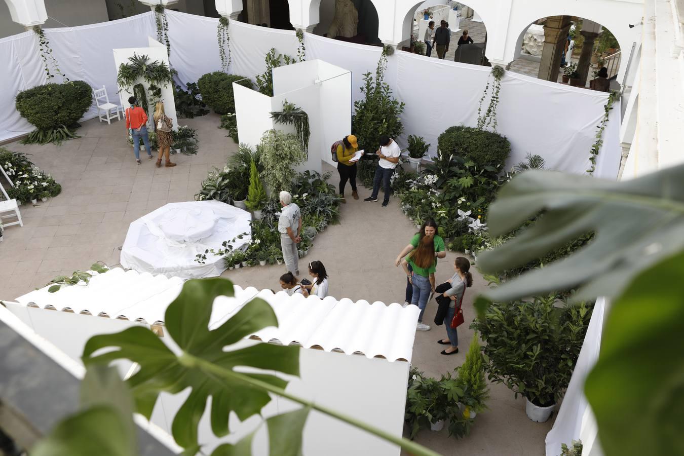 Las instalaciones del Festival Flora  2019, en imágenes