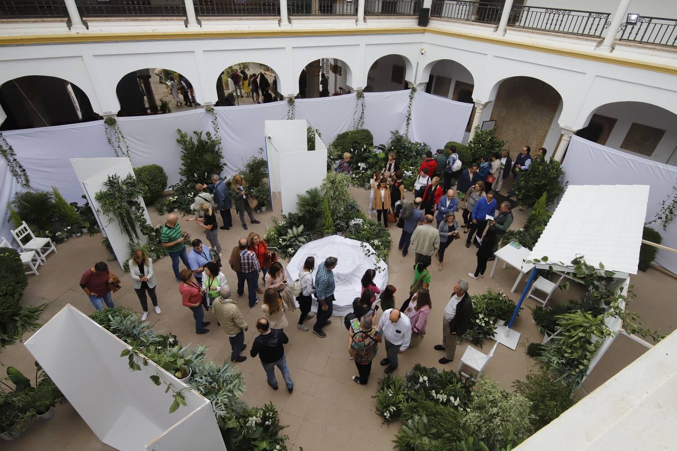 En imágenes, el ambiente del Festival Flora 2019 en Córdoba