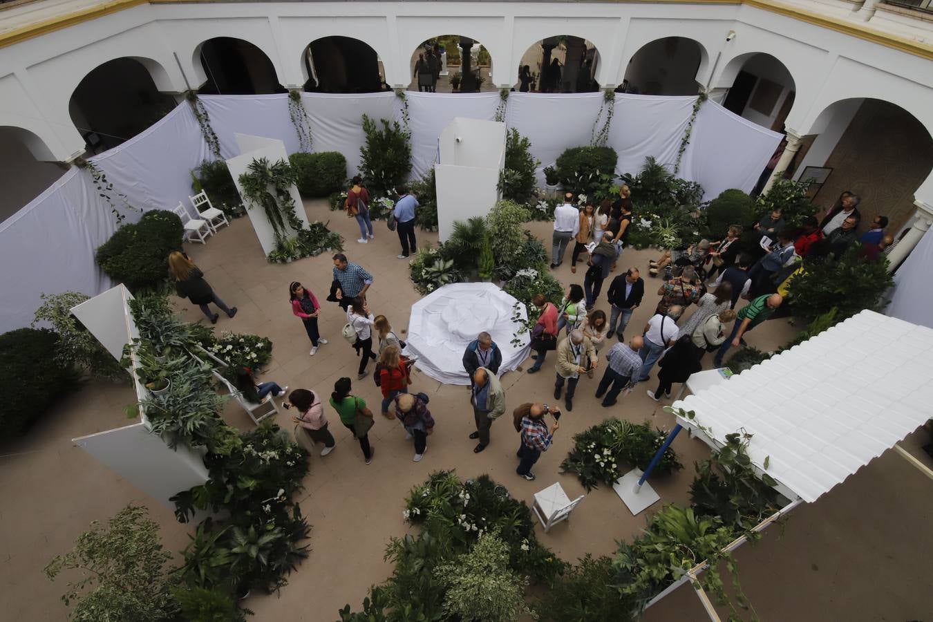 En imágenes, el ambiente del Festival Flora 2019 en Córdoba