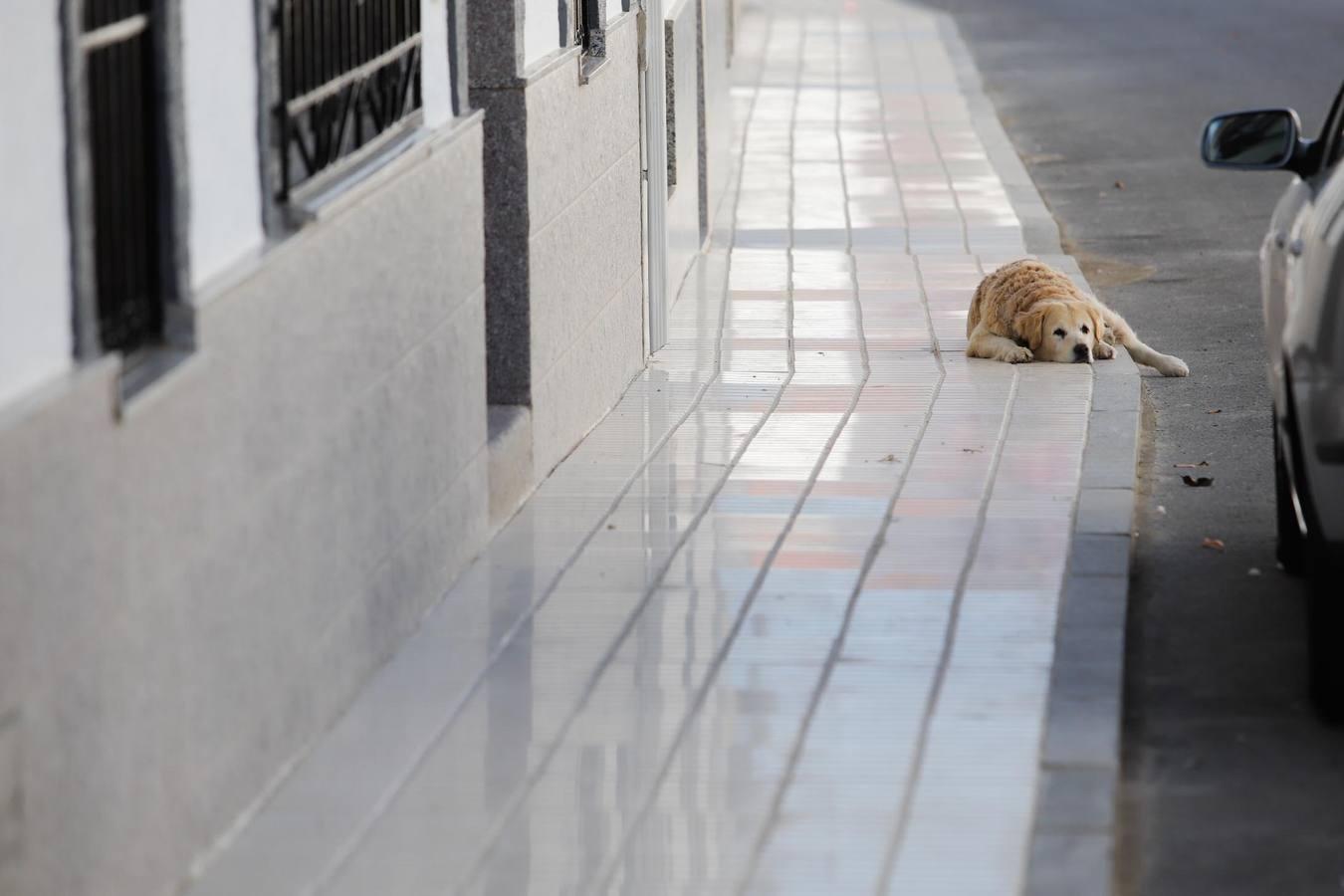 La Córdoba de la «España vacía», en imágenes