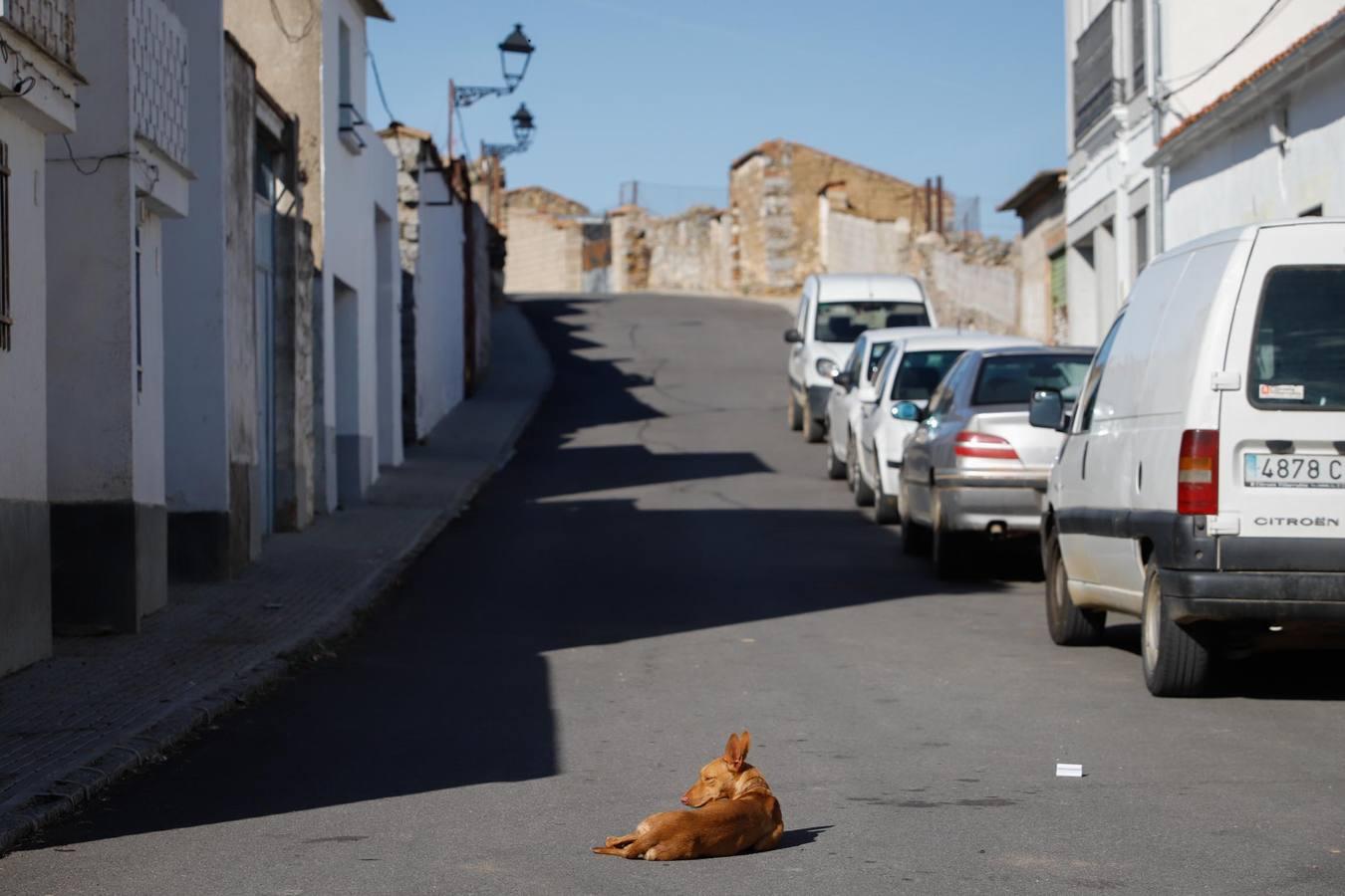 La Córdoba de la «España vacía», en imágenes