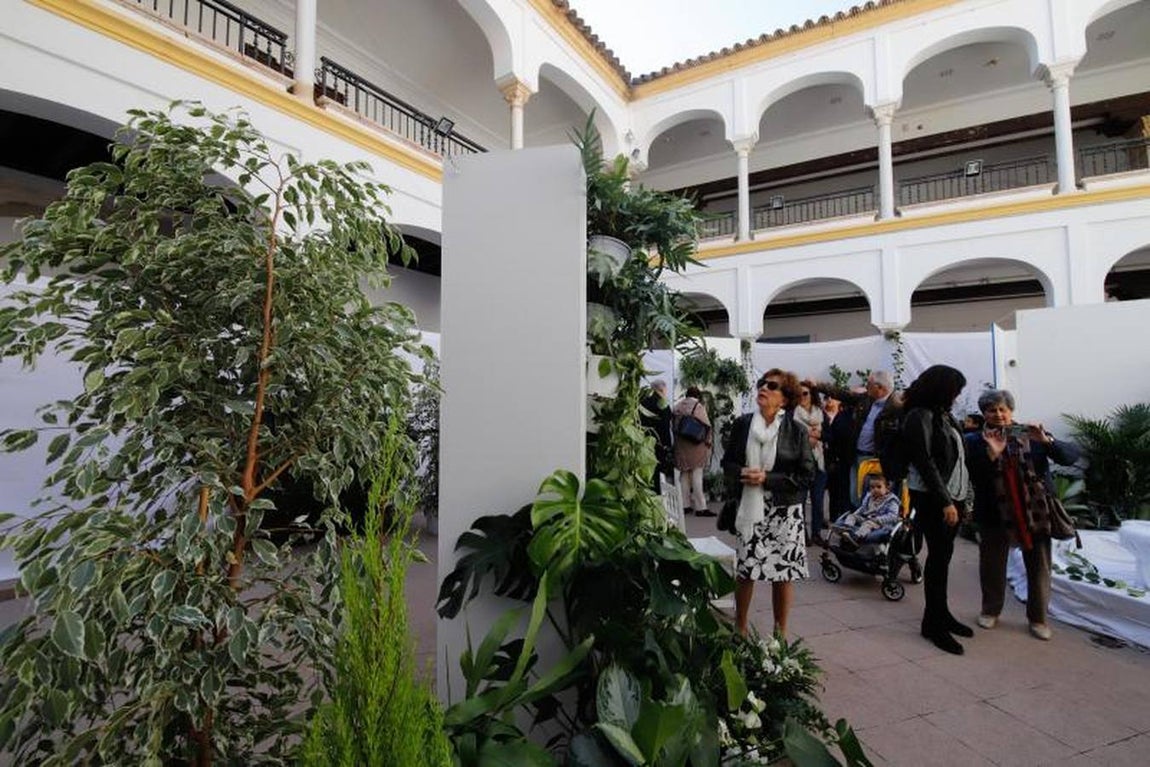 Las visitas a Flora en Córdoba, en imágenes