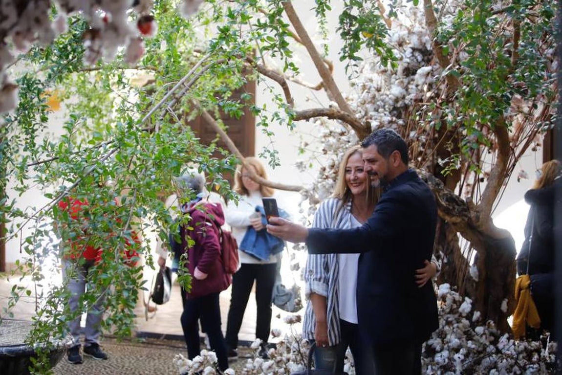 Las visitas a Flora en Córdoba, en imágenes