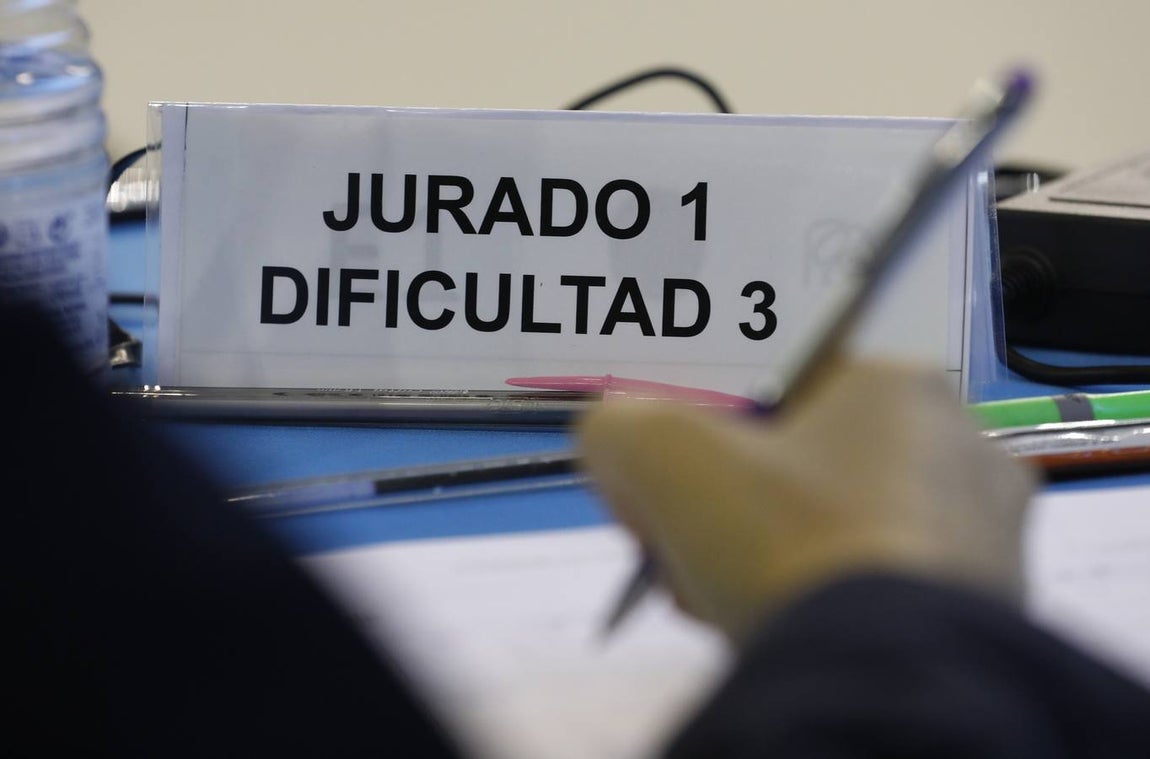 El torneo Ciudad de Córdoba «Lourdes Mohedano» de gimnasia, en imágenes