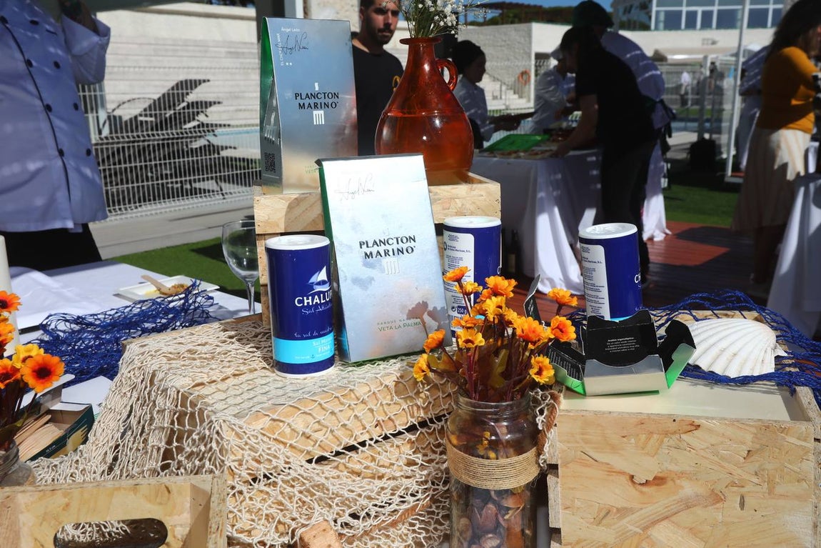 Jornadas de la Sal y Estero