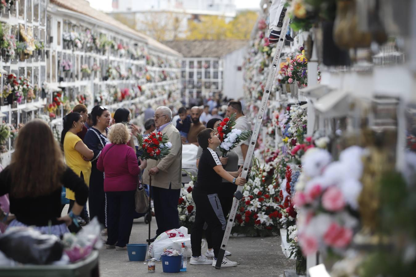 Los cementerios de Córdoba, en imágenes