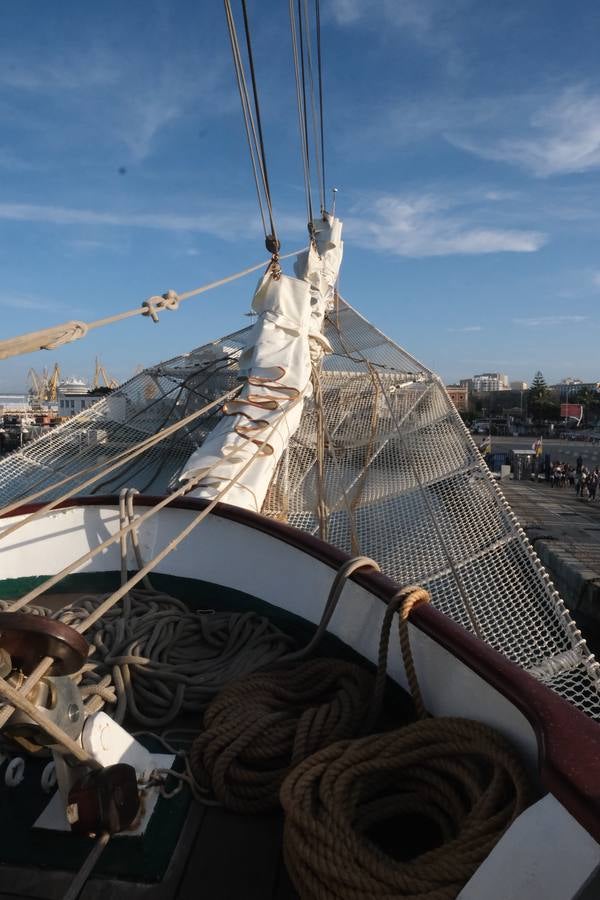 FOTOS: Colas y gran expectación para visitar el Juan Sebastián de Elcano en Cádiz