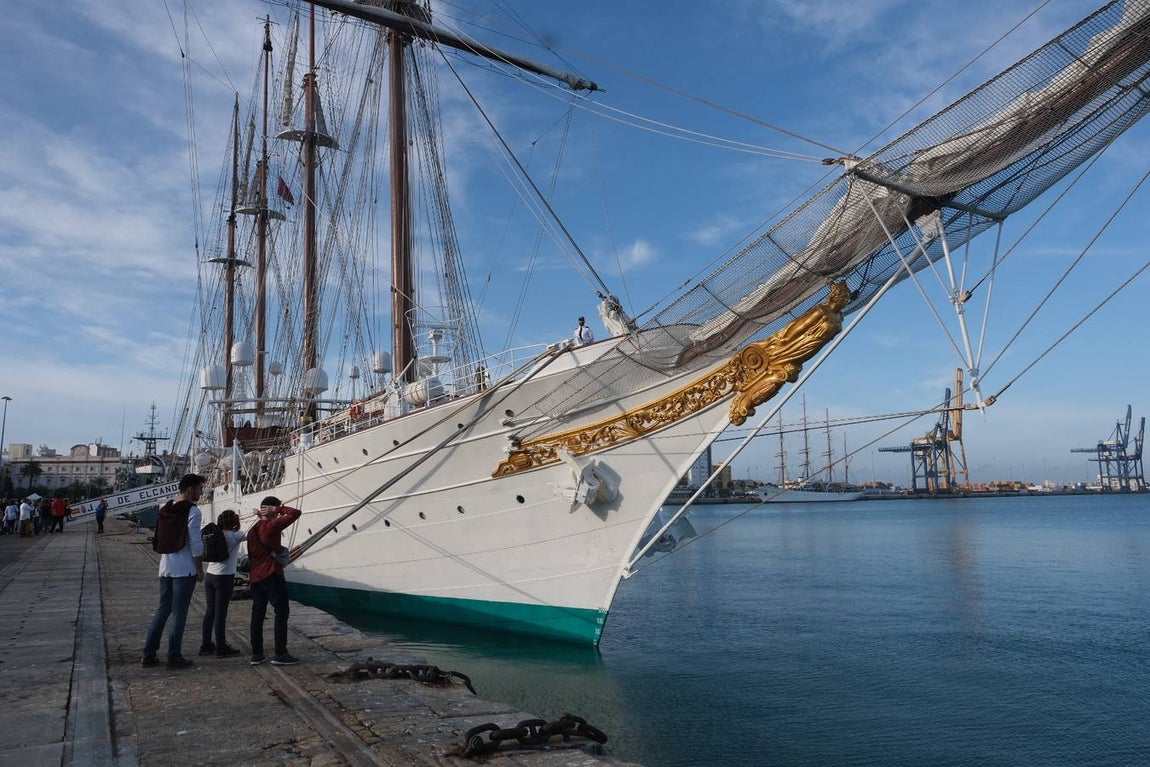 FOTOS: Colas y gran expectación para visitar el Juan Sebastián de Elcano en Cádiz