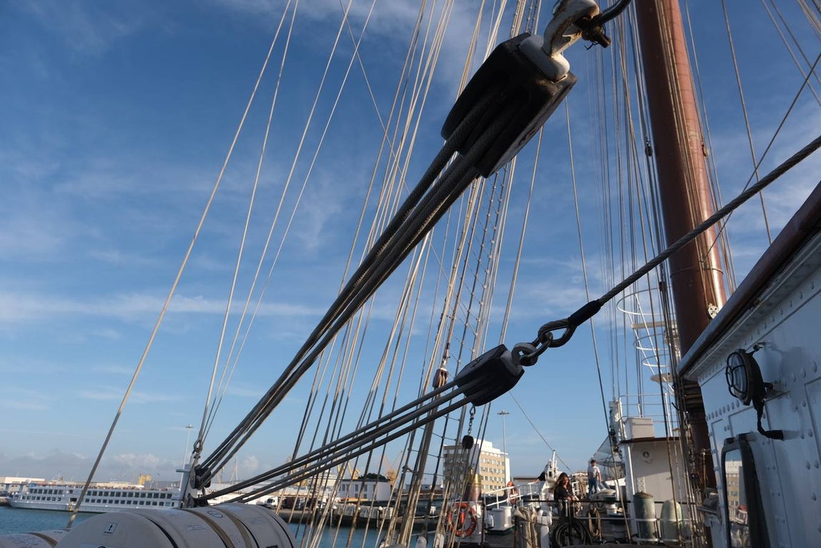 FOTOS: Colas y gran expectación para visitar el Juan Sebastián de Elcano en Cádiz
