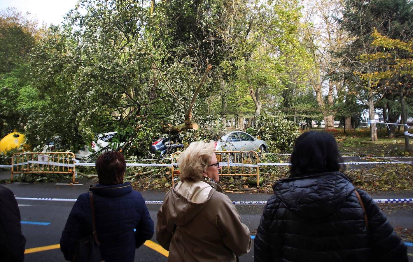 Las fuertes rachas de viento hasta 130 kilómetros por hora, en algunos puntos del Principado de Asturias han provocado la caída de árboles. 