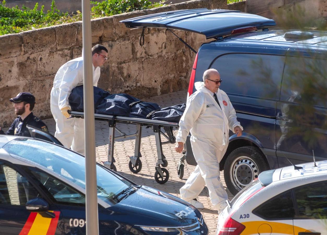 Personal de los servicios funerarios retiran el cuerpo sin vida de una mujer que ha fallecido este domingo en Palma de Mallorca tras caerle parte de una palmera debido al fuerte viento. 