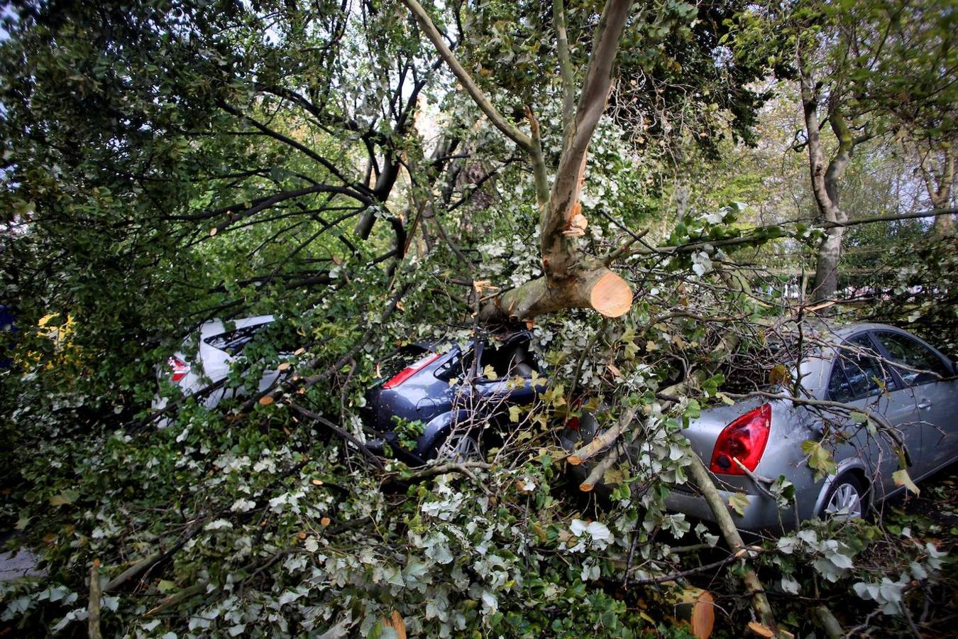 Vista de los destrozos en Avilés, Asturias debido a las fuertes rachas de viento hasta 130 kilómetros por hora, en algunos puntos del Principado. 