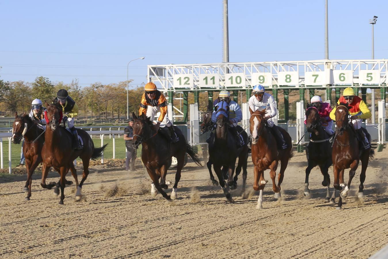 Comienza la temporada en el hipódromo de Dos Hermanas