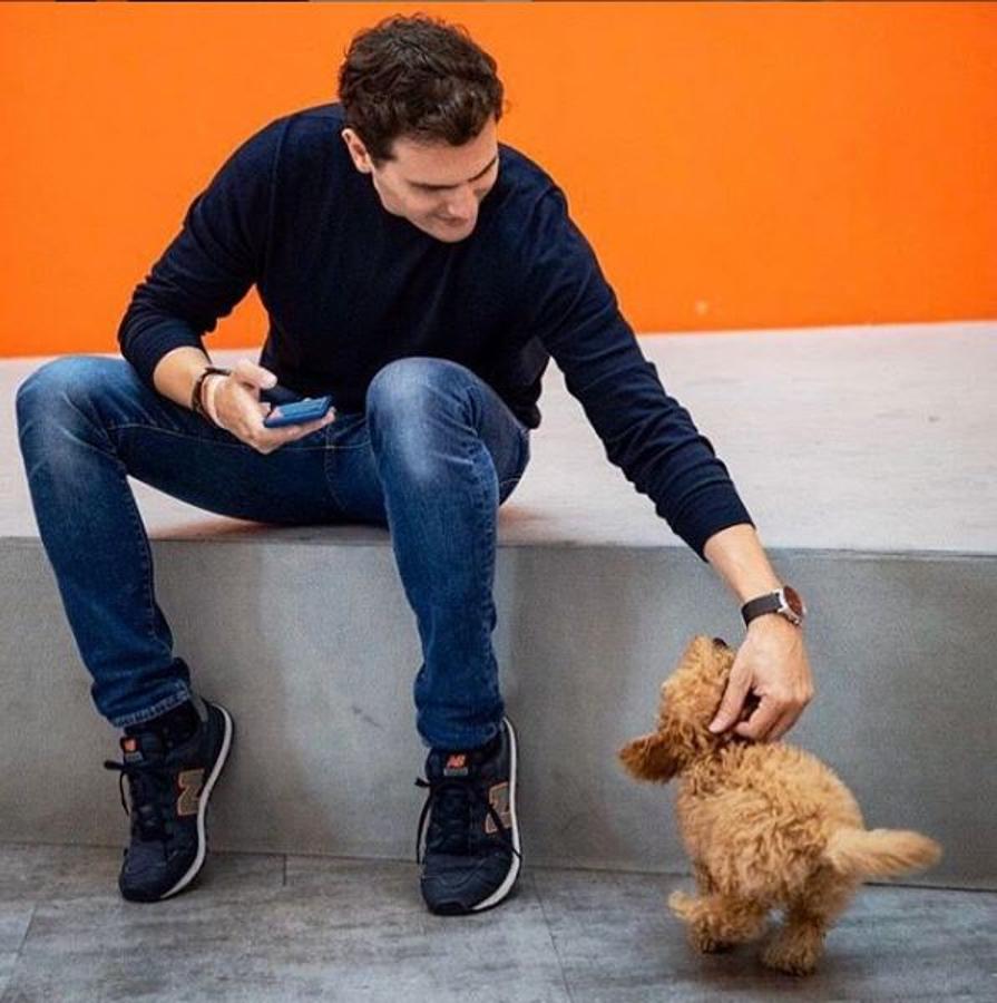 Lucas, el «arma secreta» de Ciudadanos. Albert Rivera publicaba esta semana un vídeo junto a este adorable caniche marrón, que pertenece a Pablo Sarrión, miembro del departamento de comunicación de Ciudadanos. Buscaba el voto de los animalistas, quién sabe si habrá rascado alguno... lo que sí consiguió es convertirse en trending topic
