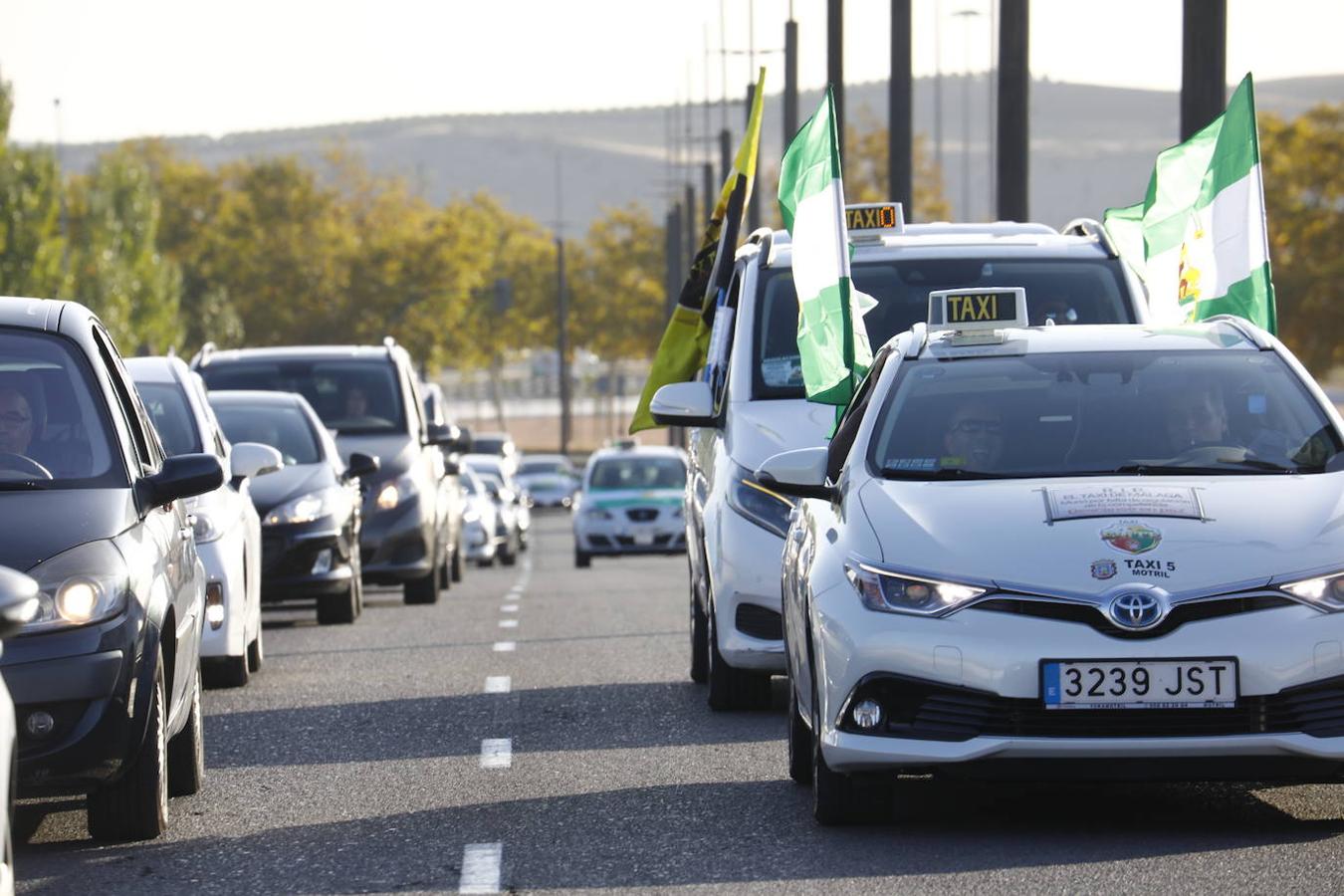 La protesta de los taxistas en Córdoba, en imágenes