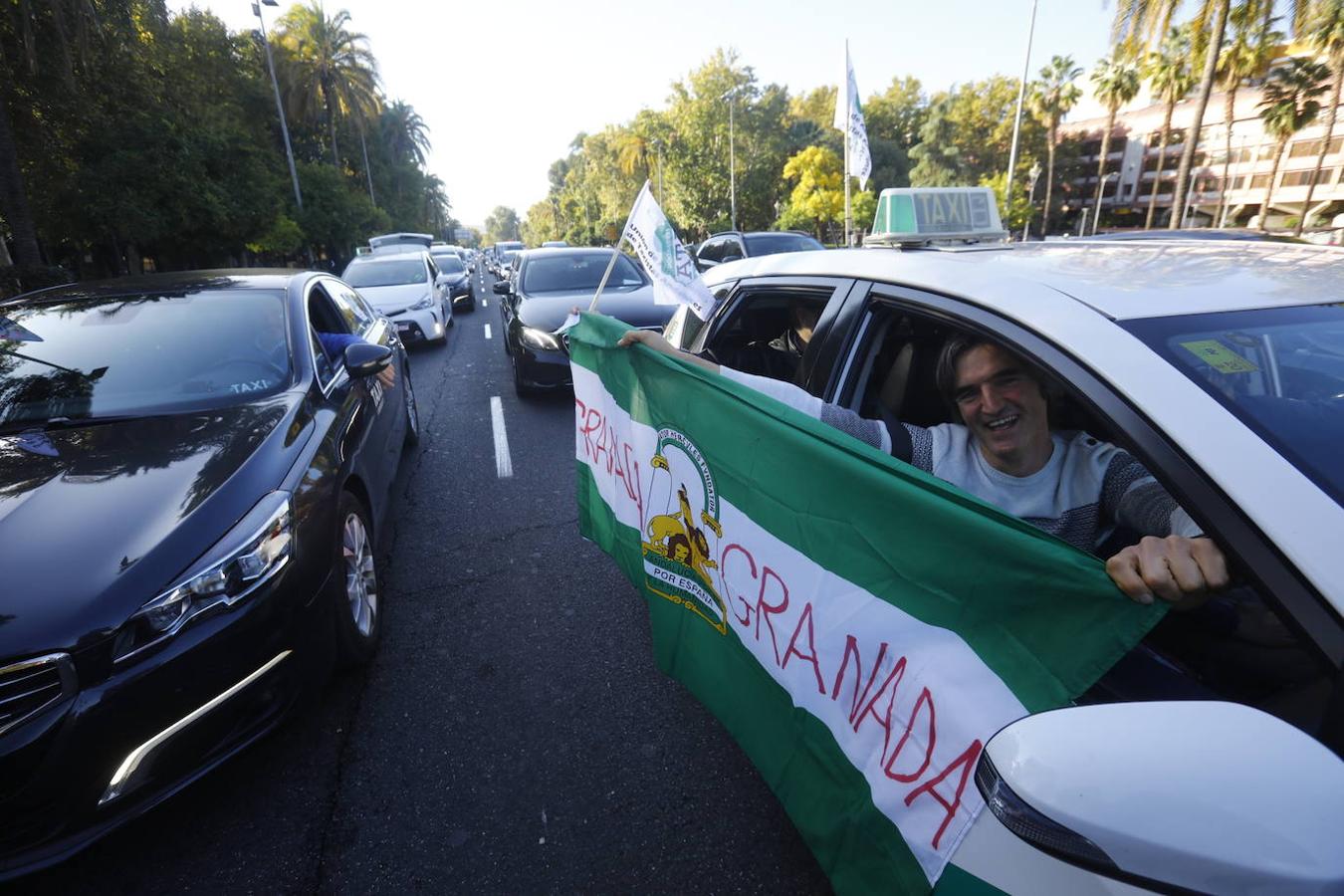 La protesta de los taxistas en Córdoba, en imágenes