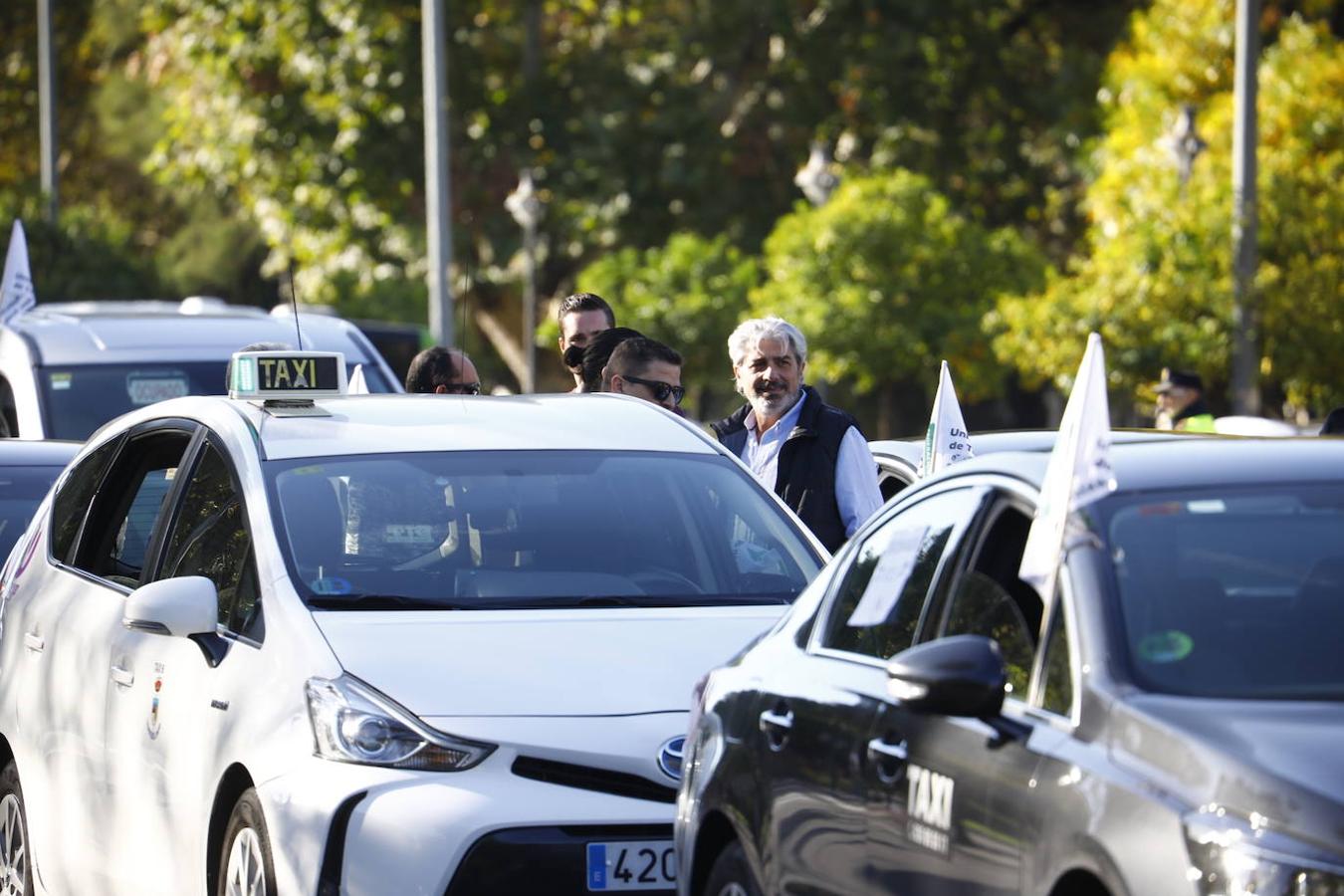 La protesta de los taxistas en Córdoba, en imágenes