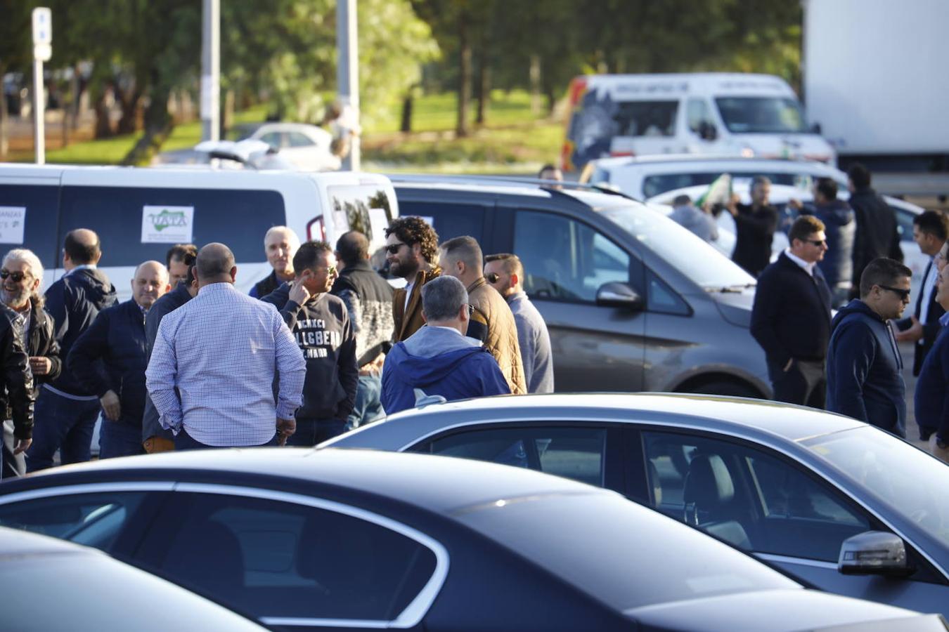 La protesta de los taxistas en Córdoba, en imágenes