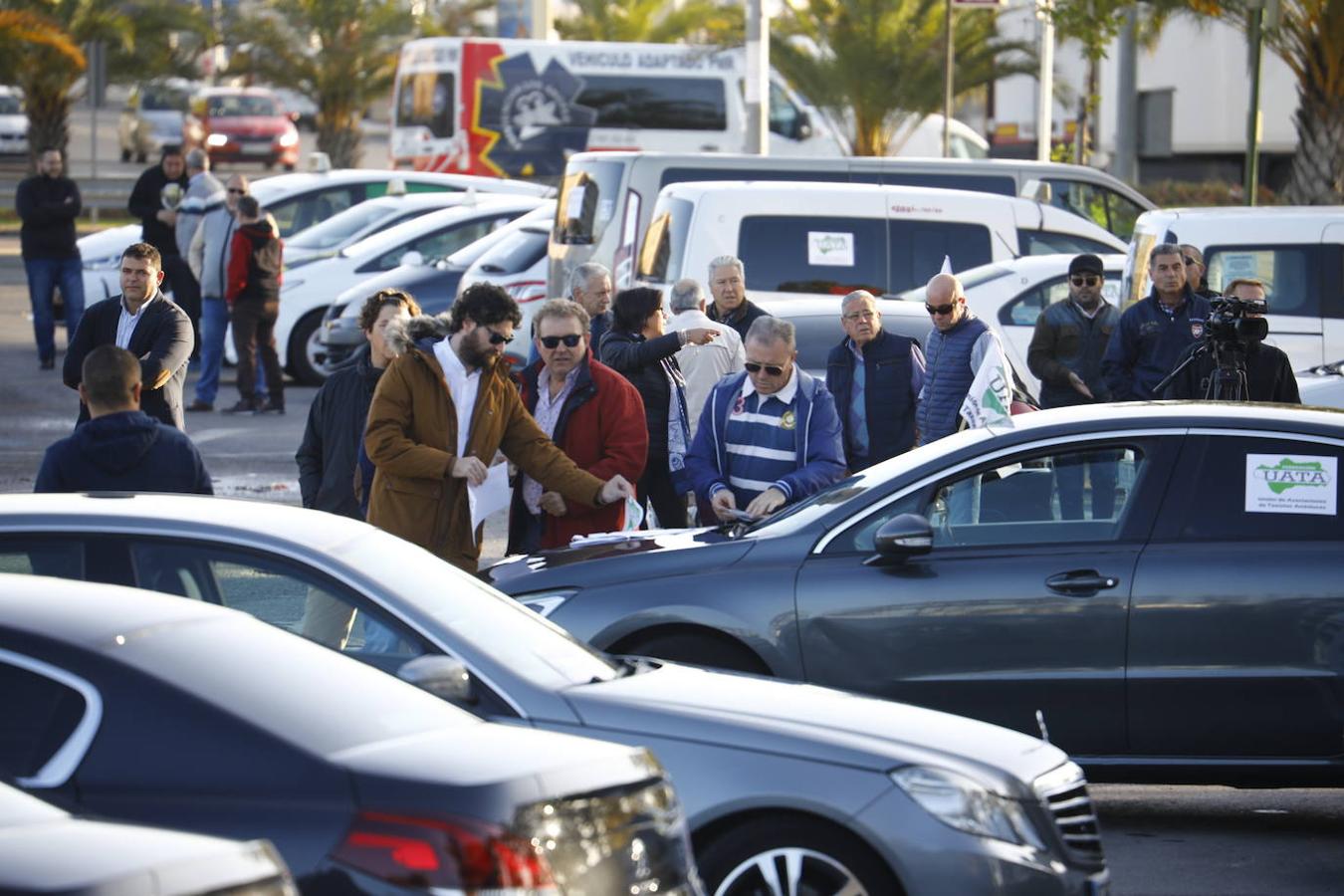 La protesta de los taxistas en Córdoba, en imágenes