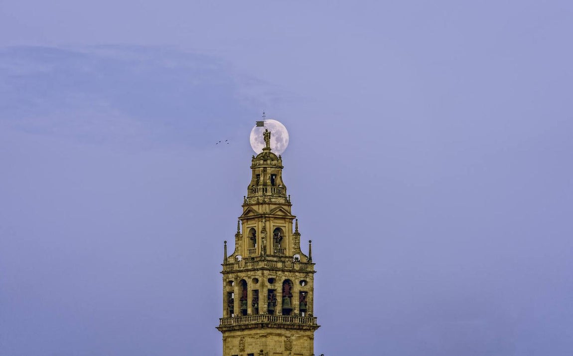 Las imágenes de Córdoba en los programas del tiempo en televisión
