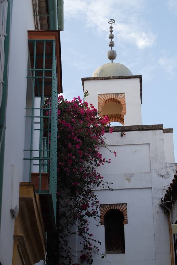 En imágenes, un paseo por la calleja de La Hoguera de Córdoba