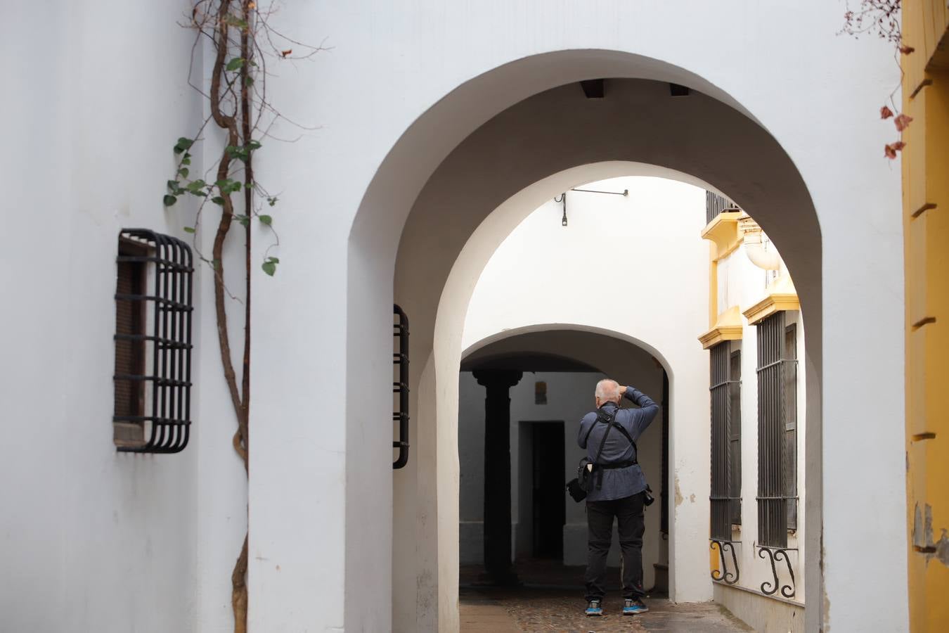 En imágenes, un paseo por la calleja de La Hoguera de Córdoba