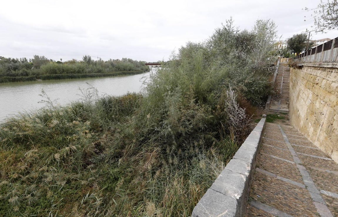 El lamentable estado del río en Córdoba, en imágenes