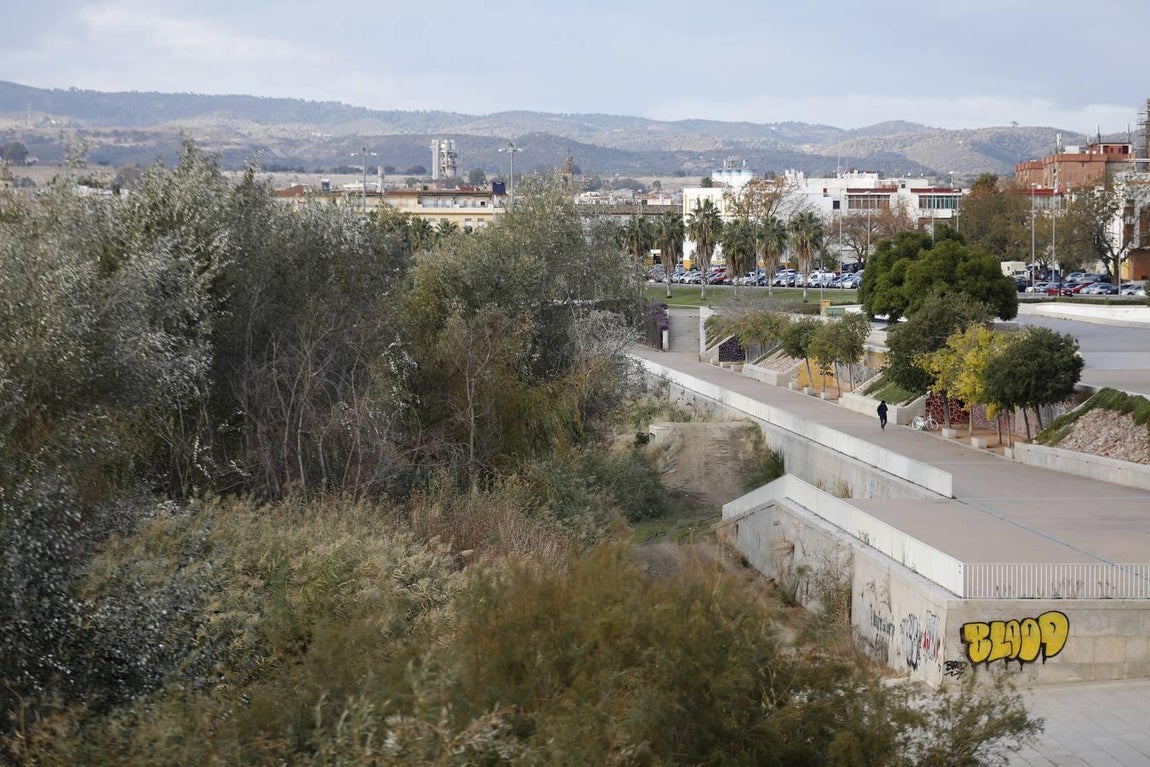 El lamentable estado del río en Córdoba, en imágenes