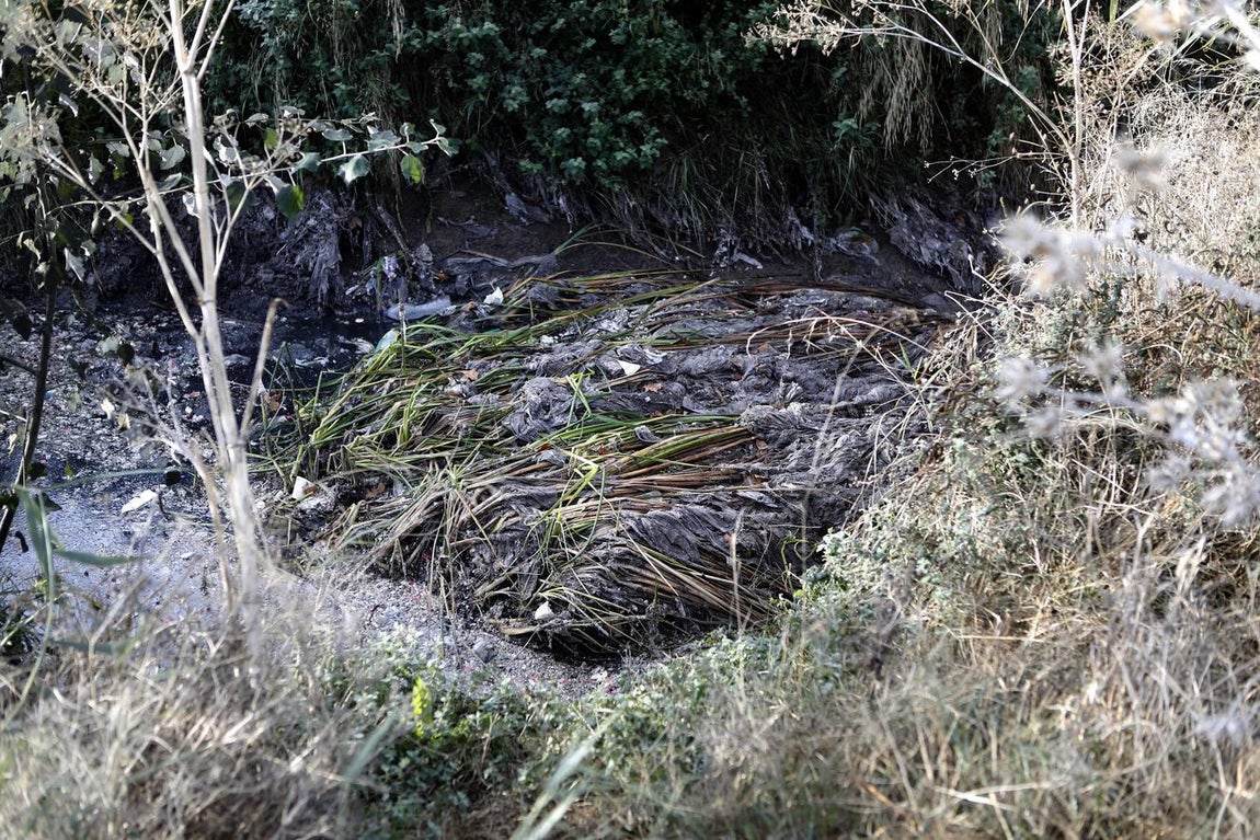 El lamentable estado del río en Córdoba, en imágenes