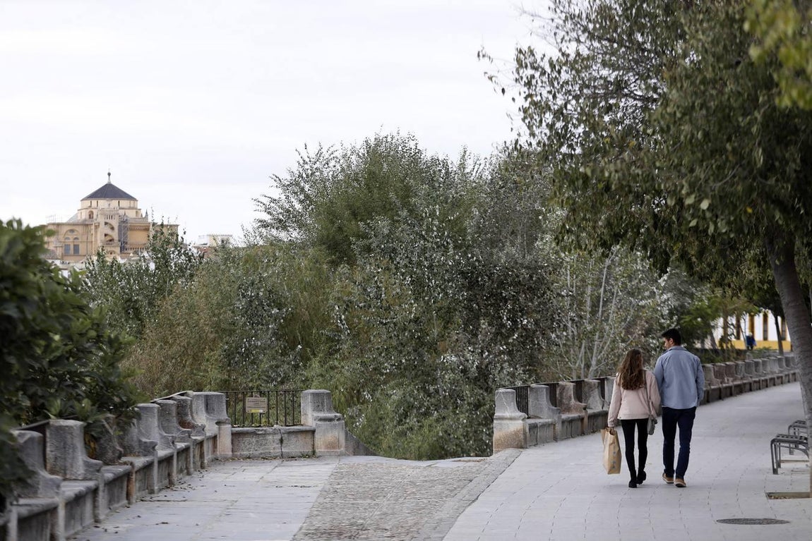 El lamentable estado del río en Córdoba, en imágenes