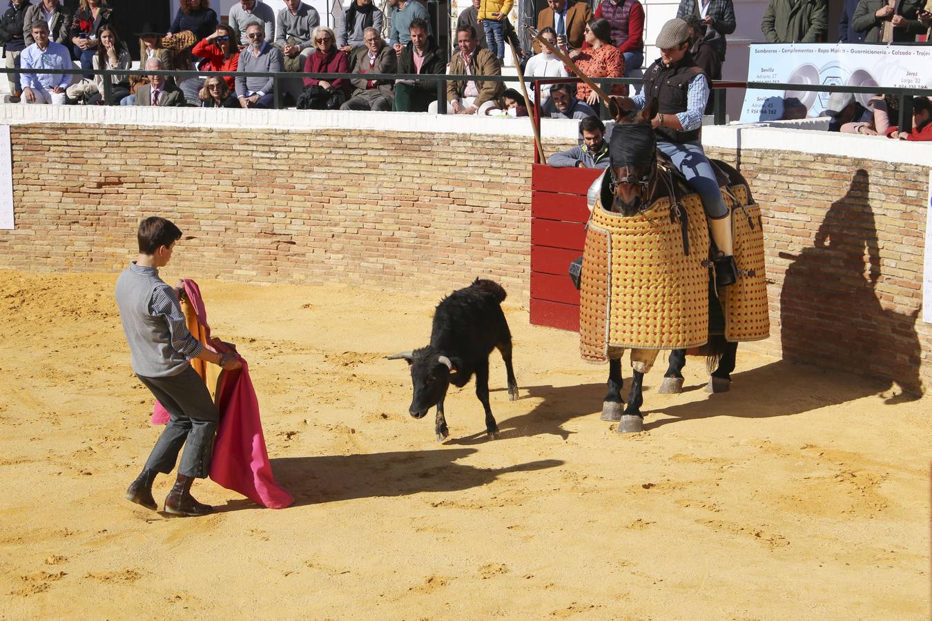 La Escuela Taurina de Sevilla celebra sus bodas de plata