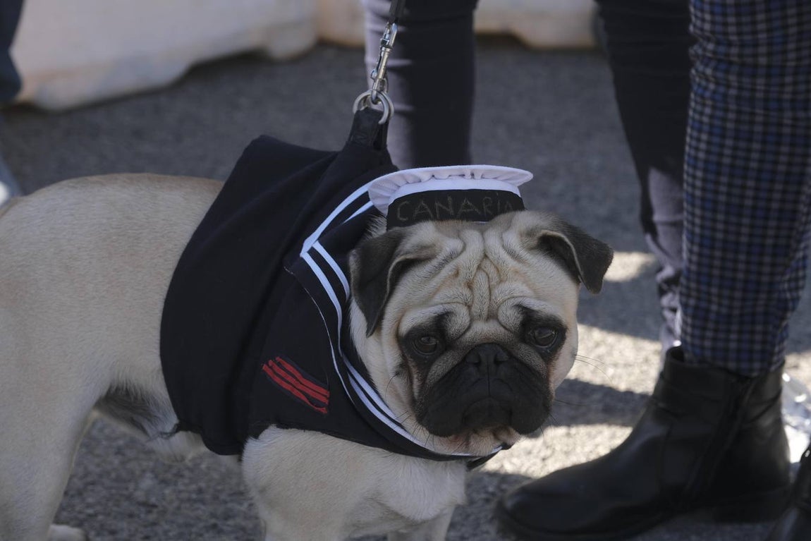 Emotivo recibimiento de la  Canarias en Rota