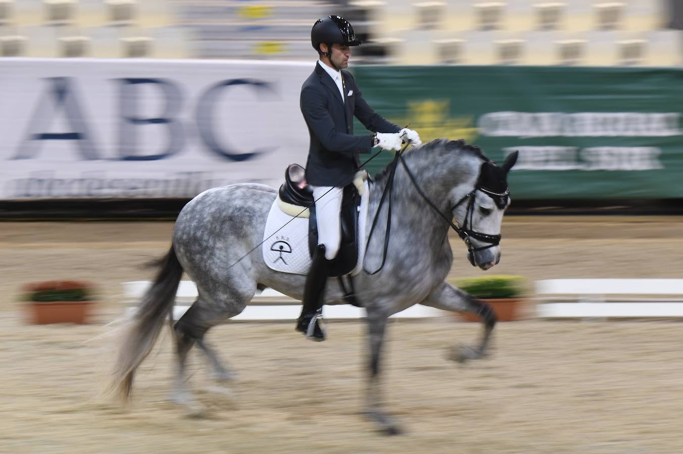 El campeonato del mundo del caballo de Pura Raza Española en SICAB 2019 (I)