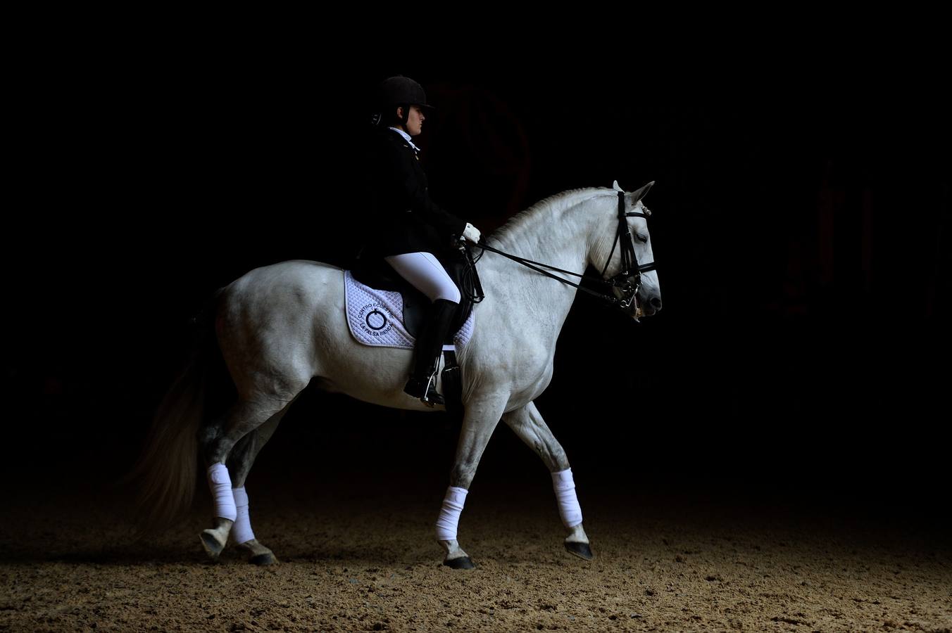 El campeonato del mundo del caballo de Pura Raza Española en SICAB 2019 (I)