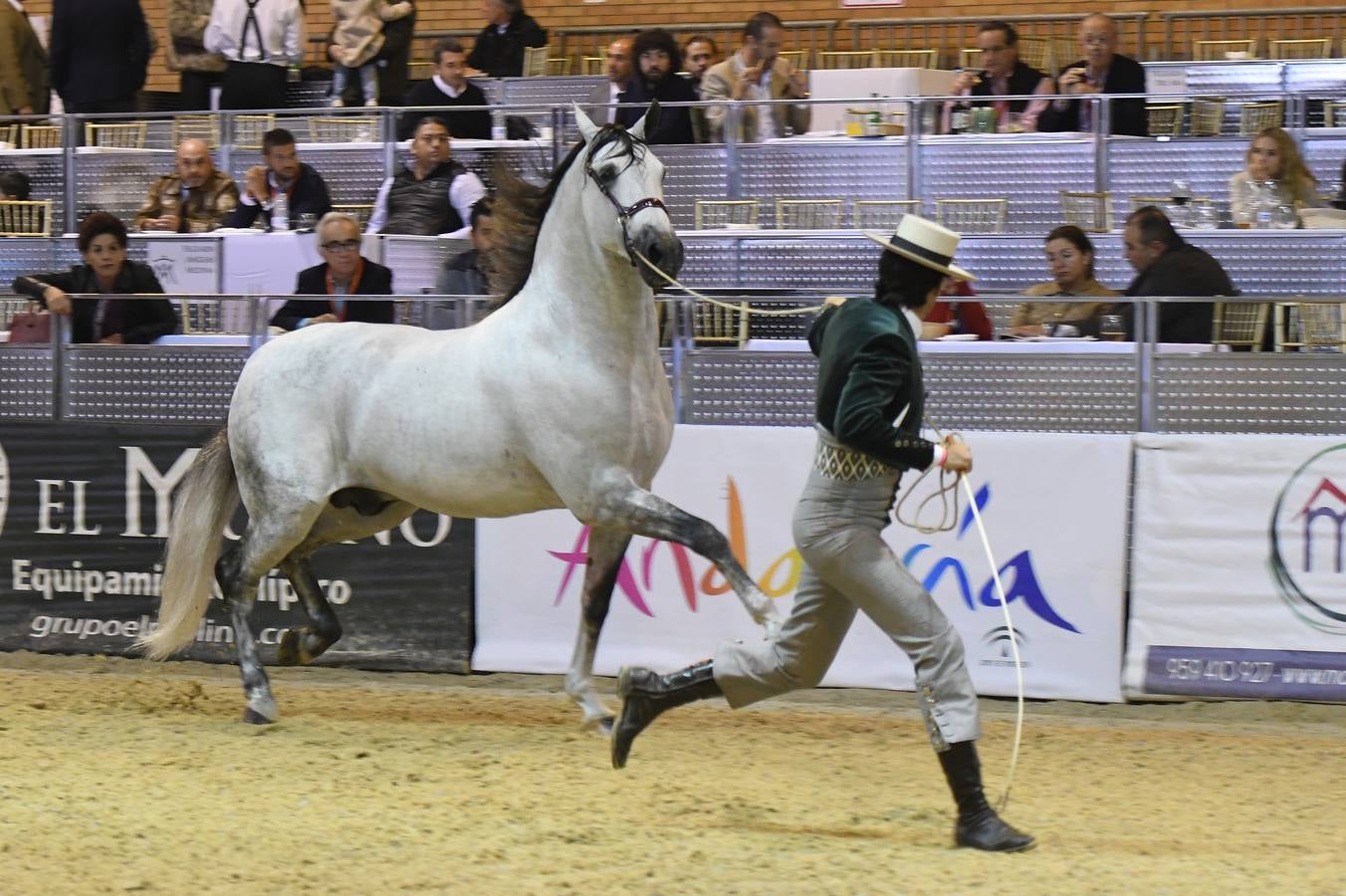 El campeonato del mundo del caballo de Pura Raza Española en SICAB 2019 (I)