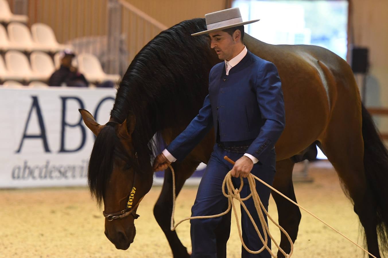 El campeonato del mundo del caballo de Pura Raza Española en SICAB 2019 (I)