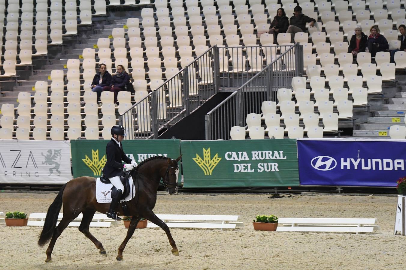 El campeonato del mundo del caballo de Pura Raza Española en SICAB 2019 (I)