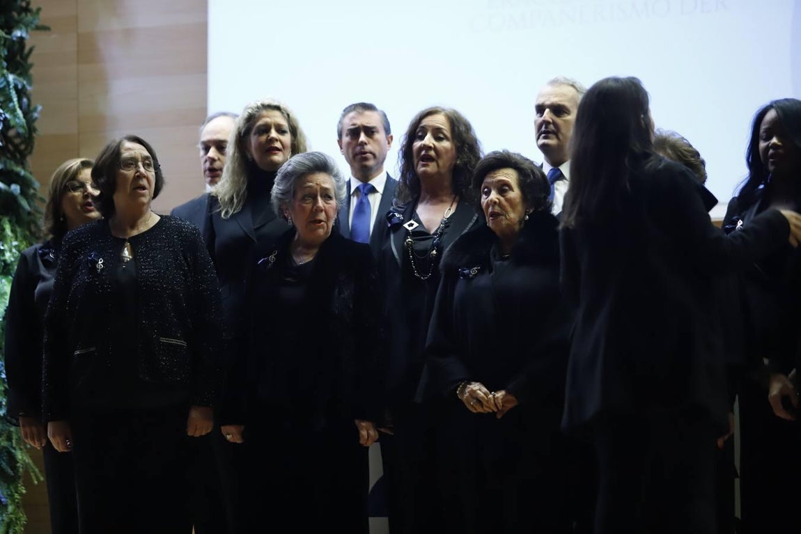 El 250 aniversario del Colegio de Abogados de Córdoba, en imágenes