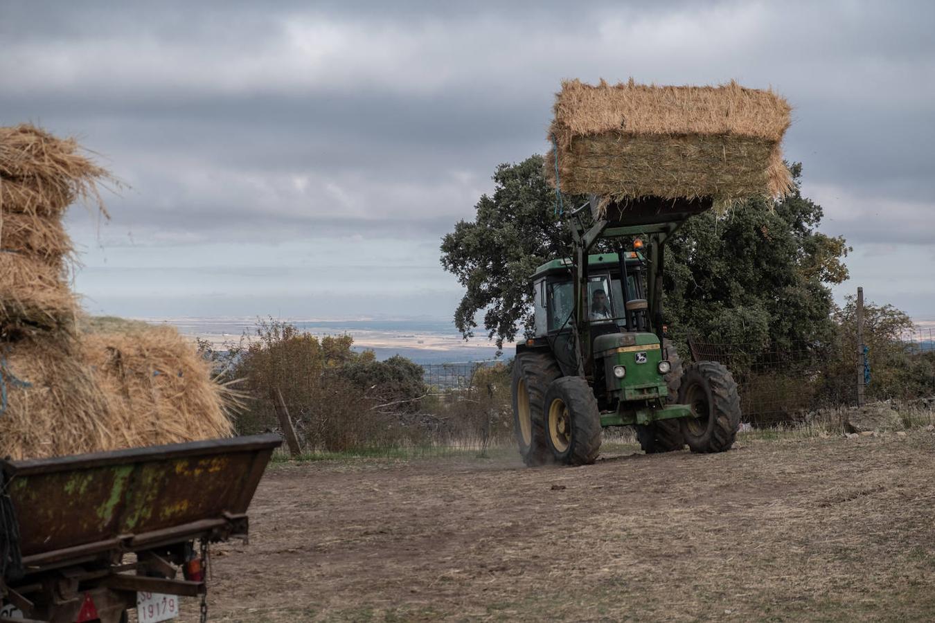 Las actividades agrícolas y ganaderas son las primeras que están sufriendo los efectos de la falta de precipitaciones. 