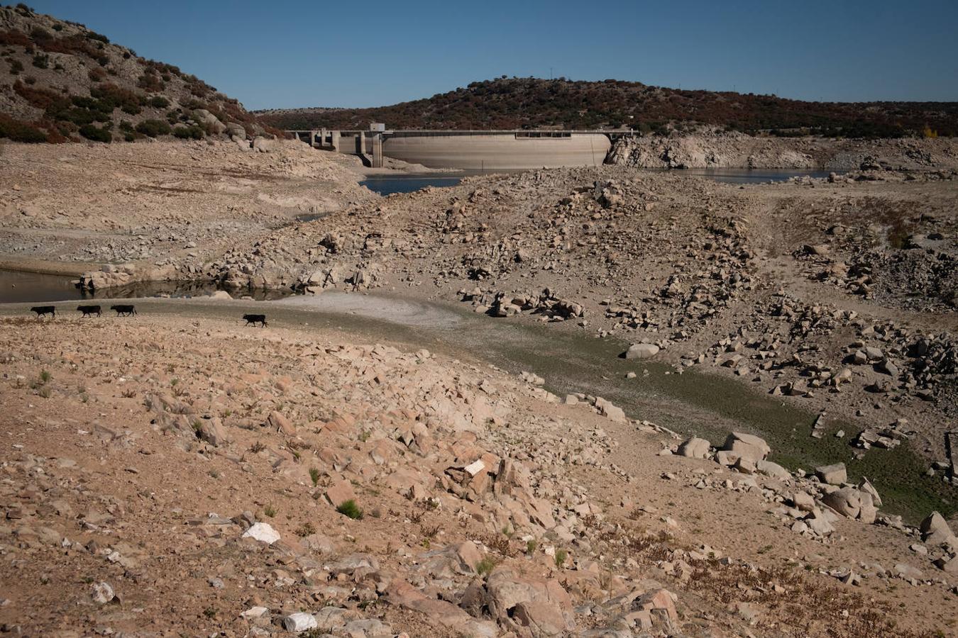 Los embalses que abastecen Ávila se encuentran en mínimos históricos, lo que podría provocar cortes en el suministro de agua a los municipios. Mientras, se sigue regando el campo de golf de la capital. 